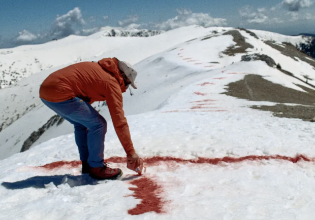 The colors of white de Nil Pagès i Martí Colomer seleccionada al Festival ARRF BCN